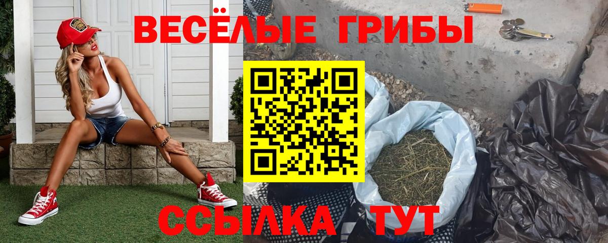 Гай  Галлюциногенные грибы GOLDEN TEACHER  Галлюциногенные грибы GOLDEN TEACHER  Вход с VPN 