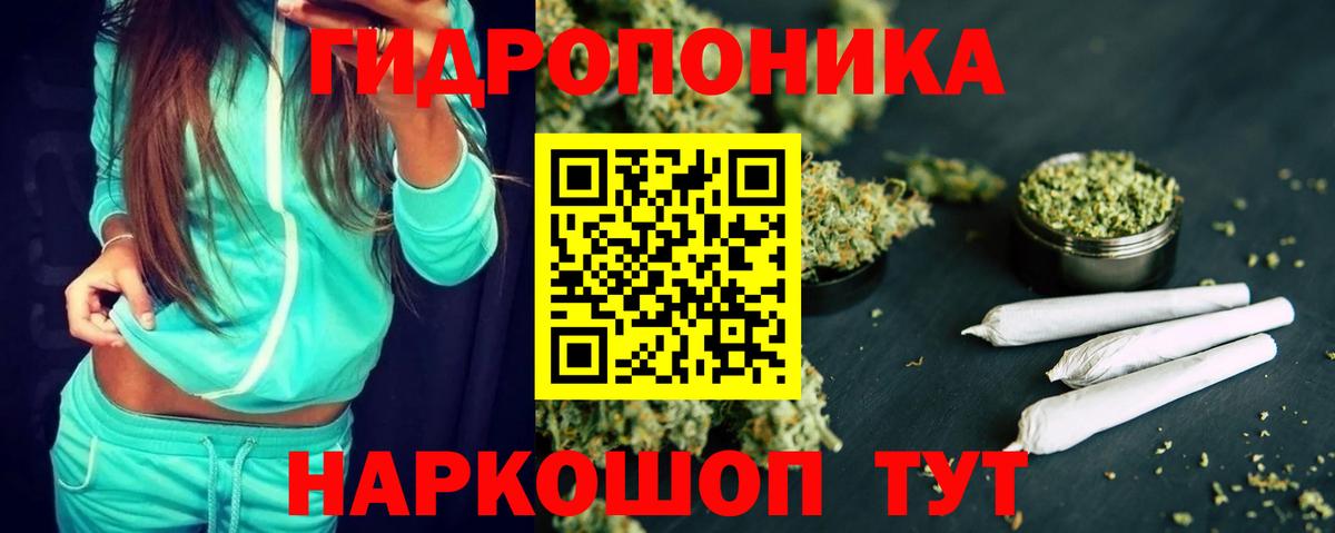 Марихуана план Гай